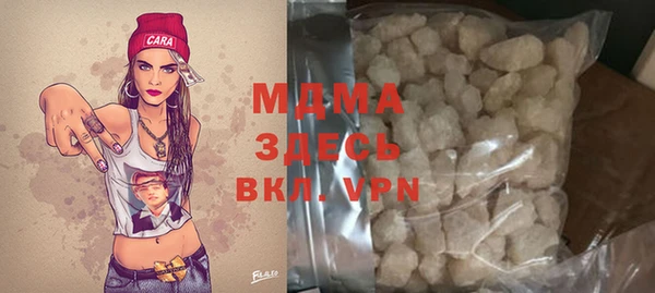 spice Богородицк